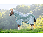 Functional Fly Rug Confusion Fly
