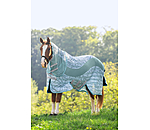 Functional Fly Rug Confusion Fly