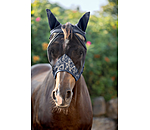 Collection Fly Mask Signature