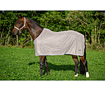 Fly Rug Collection Signature III