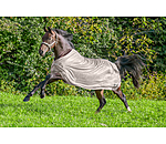 Fly Rug Collection Signature III