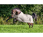 Fly Rug Collection Signature III