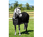 Fly Rug Collection Signature III