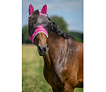 Fly Mask Basic Pro