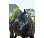 Fly Mask Basic Pro