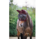 Fly Mask Dublin MVT