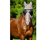 Fly Mask Limerick MVT with Fringes