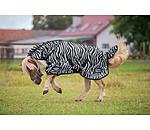 Zebra Fly Rug Combo
