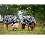 Zebra Fly Rug Combo