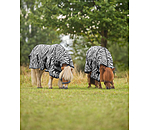 Zebra Fly Rug Combo