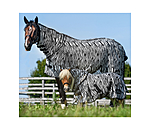 Zebra Fly Rug Combo