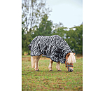 Zebra Fly Rug Combo