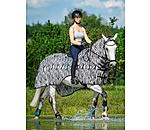 Zebra Exercise Fly Rug