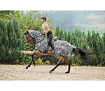 Zebra Exercise Fly Rug