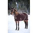 Fleece Rug Activity