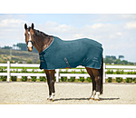 Fleece Rug Activity