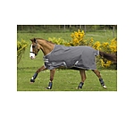 Turnout Rug Special Fleece Lined, 300g