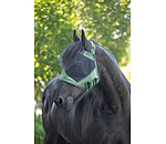 Fly Mask Ear-Free