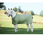 Fly Rug Economy Light