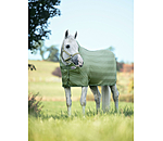 Fly Rug Economy Light