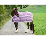 Fly Rug Economy Light