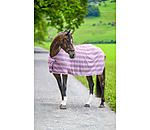 Fly Rug Economy Light