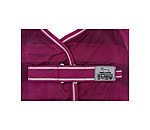 Fly Rug Economy Light