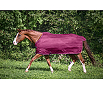 Fly Rug Economy Light