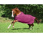 Fly Rug Economy Light