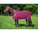 Fly Rug Economy Light