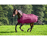 Fly Rug Economy Light