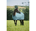 Fly Rug Economy Light