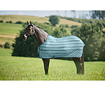 Fly Rug Economy Light