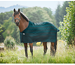 Fly Rug Economy Light