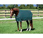 Fly Rug Economy Light