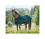 Fly Rug Economy Light