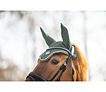 Fly Veil Essential