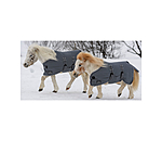 Foal and Shetland Pony Turnout Rug Kubi, 0g