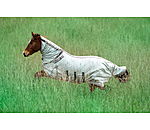 Full Neck Fly Rug Karoo