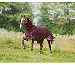 Full Neck Fly Rug Timeless Elegance with Detachable Neck Piece