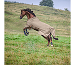 Full Neck Fly Rug Timeless Elegance with Detachable Neck Piece