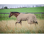 Full Neck Fly Rug Timeless Elegance with Detachable Neck Piece