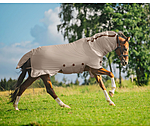 Full Neck Fly Rug Timeless Elegance with Detachable Neck Piece