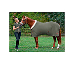 Fleece Wicking Rug Timeless Elegance with Teddy Fleece Collar