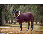 Fleece Wicking Rug Timeless Elegance with Teddy Fleece Collar