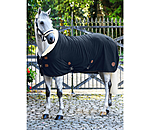 Fleece Wicking Rug Timeless Elegance with Teddy Fleece Collar