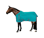 Turnout Rug Kadir IV, 0g