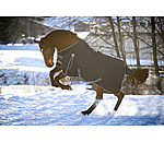 Turnout Rug Kadir IV, 0g