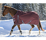 Turnout Rug Kadir IV, 100g