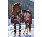 Turnout Rug Kadir IV, 100g